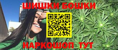 шишки Кингисепп