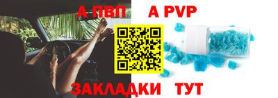 шишки Кингисепп