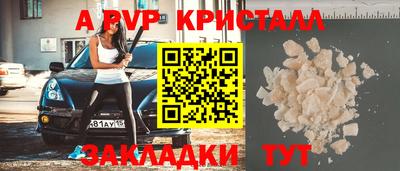 шишки Кингисепп